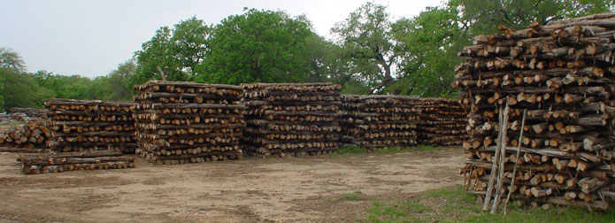 Cedar Fence Posts - Haynes Cedar Yard - Johnson City, Texas