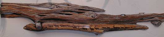 pyrography on red roan cedar